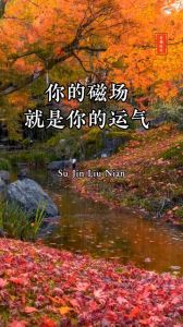 灵异磁场感应者的神秘感知世界
