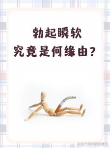 生殖器官软绵绵原因及应对策略全解析
