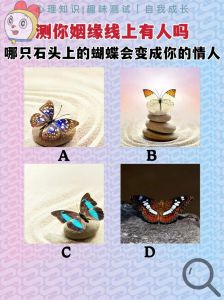 八字命理与婚配测试：姻缘奥秘