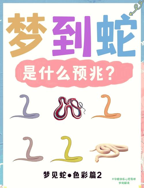 50-60岁女性梦见蛇：梦境中的智慧与挑战