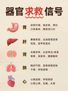 家居风水5征兆显邪气退散，净化方法助和谐生活