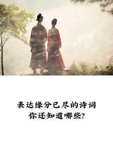 玄学感情缘分已尽征兆及测试方法