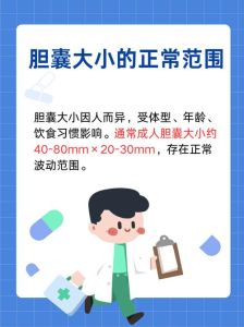 胆量：性格环境与自我锻炼的力量