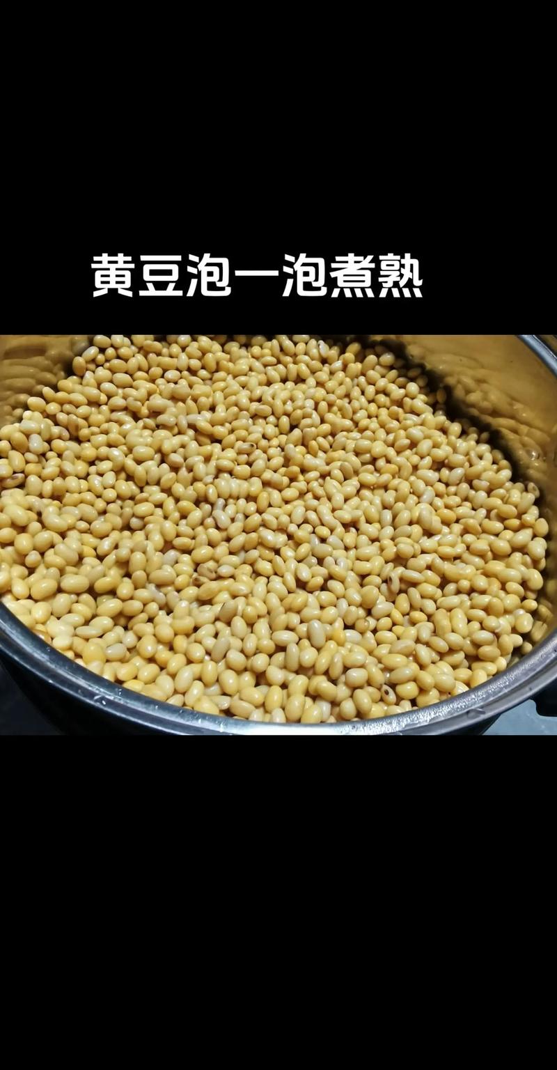 解密梦境：豆子泡水预示什么？