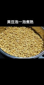 解密梦境：豆子泡水预示什么？