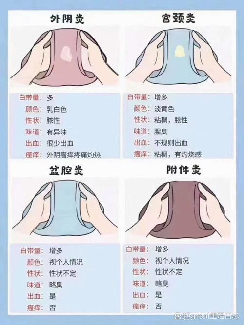 知识女性魅力：智慧之光，职场社交双辉
