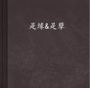 情人：孽缘还是命中注定？情感轮回之谜