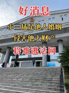 破坏家庭的法律与道德风暴：插足后果警示录