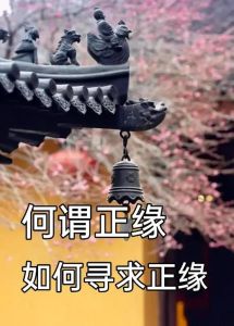 正缘：灵魂契合的六迹象与寻找方法