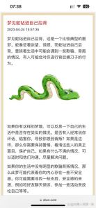 女性梦见蛇的深层寓意