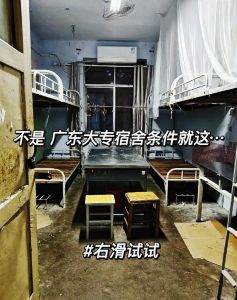 打造温馨宿舍：大学室友和谐相处指南