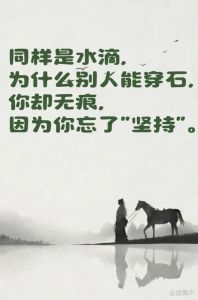 借命真相：八字改运的科学探索
