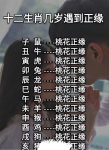 正缘识别术：多维度寻命中良缘