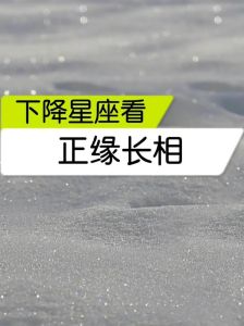 八字塔罗测正缘长相与性格奥秘