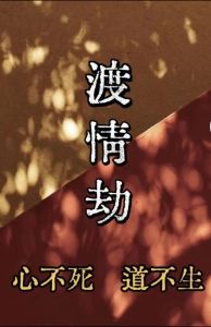 情劫：因果循环中的情感纠葛与解脱之道