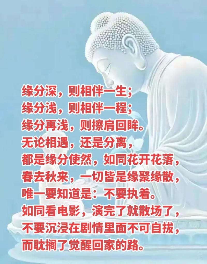 缘分与真爱：寻找爱情密码的旅程