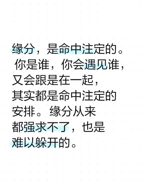 都市偶遇：巧合还是缘分？