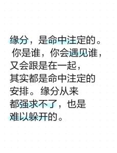 都市偶遇：巧合还是缘分？
