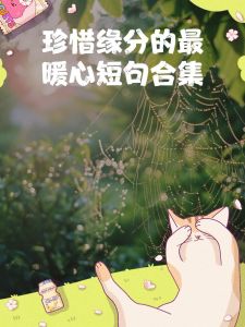 缘分邂逅：星河相遇，人生共舞