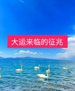 大运将至：八大预兆预示人生新篇章