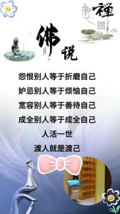 佛家智慧：宁静之人的力量与智慧