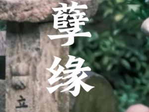 摆脱孽缘束缚，重拾新生之道