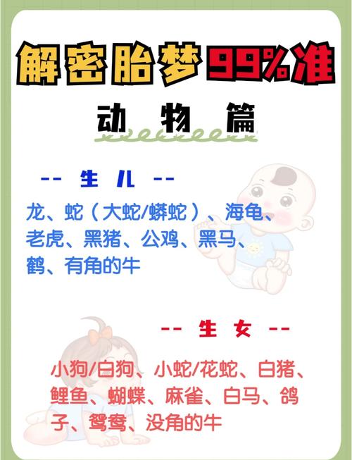 孕期胎梦奥秘解读与心理探寻