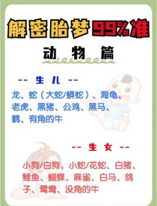 孕期胎梦奥秘解读与心理探寻