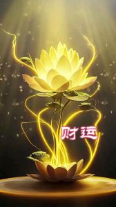 财运：命中注定还是努力得来？