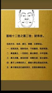 面相财运面部特征解析与提升运势技巧