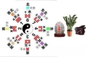 朱雀位风水秘密：家居吉祥布局之道