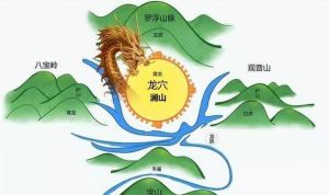 风水朱雀元素影响人丁兴旺，紫气东来吉凶断
