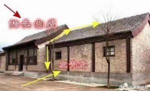 朱雀方位家居风水：旺丁招财植物布局秘籍
