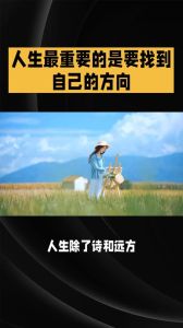中年迷茫，新方向攻略：自我探索与终身学习