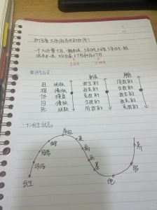 八字大运掌握人生运势关键