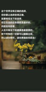 选择的艺术：理性决策，塑造未来之路