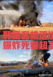 2024济州航空空难：179遇难，多重因素解析航空安全挑战