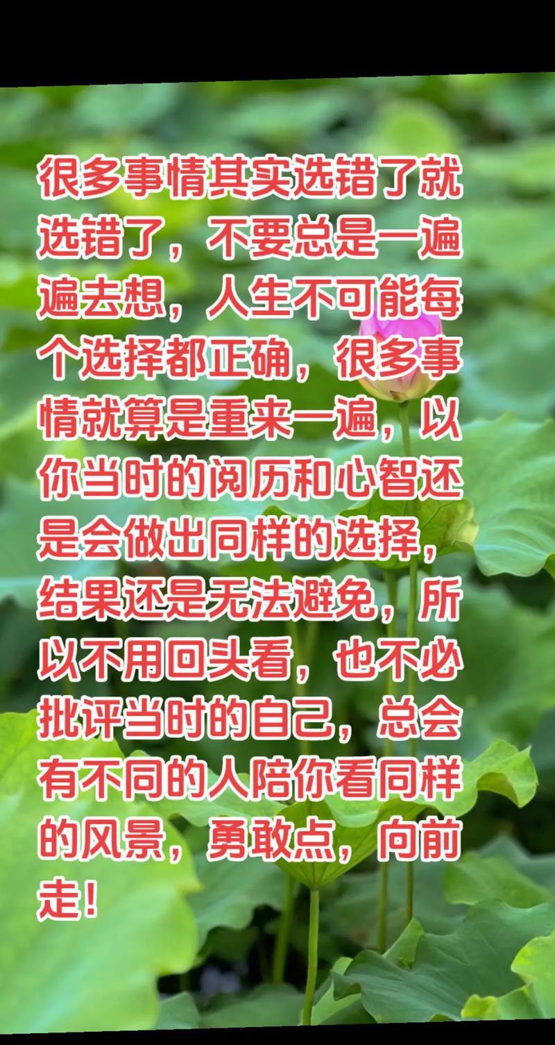 抉择照亮人生路：智慧选择，绘就命运画卷