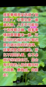 抉择照亮人生路：智慧选择，绘就命运画卷