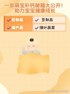 年龄计算加1之谜：虚岁与周岁智慧探秘