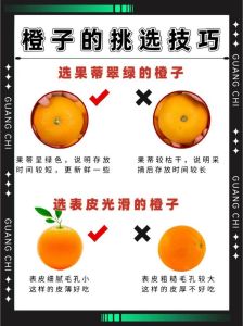 完美衣橱攻略：面料搭配技巧，打造时尚品质衣橱