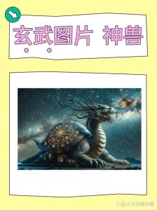 玄武：千年守护神，中华文明之谜