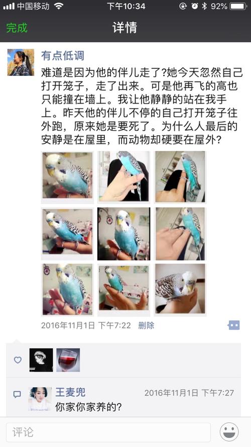 肩膀小鸟梦境：象征意义与启示解读