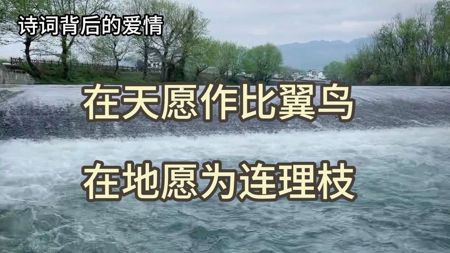 女人梦见鸟飞身：自由与成长的梦境密码