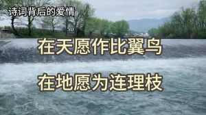 女人梦见鸟飞身：自由与成长的梦境密码