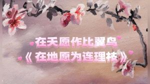 女人梦鸟落肩：吉兆解读与心理启示