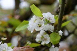 玄天风水大师班：范三明亲授奇门遁甲精髓