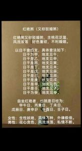 传统算命婚配与现代婚姻观念碰撞解析