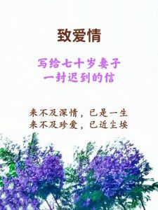悔意与承诺：丈夫的信，婚姻修复的力量