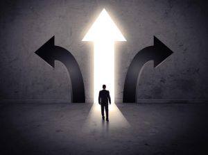 历史选择的力量：自然与人类社会的演变启示